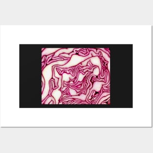 Red Cabbage Design Pattern Posters and Art